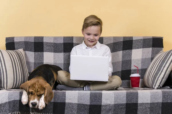 Милый Мальчик Играет Ноутбук Смешной Пёс Диване — стоковое фото