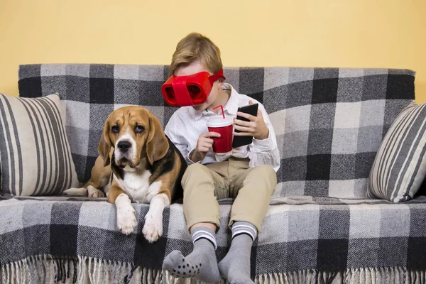 Menino Óculos Realidade Virtual Para Telefone Cão Beagle Engraçado Sofá — Fotografia de Stock