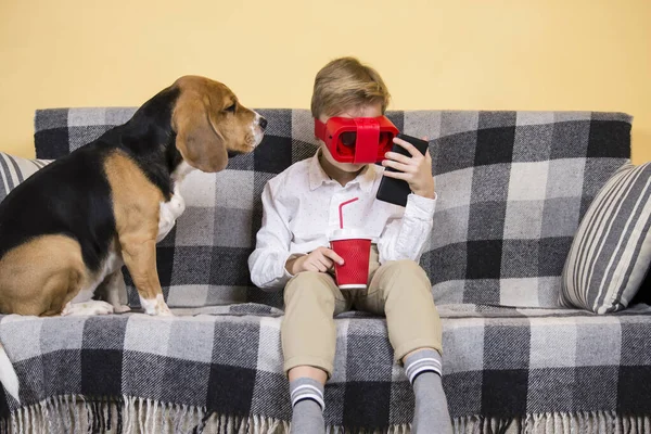 Menino Óculos Realidade Virtual Para Telefone Cão Beagle Engraçado Sofá — Fotografia de Stock