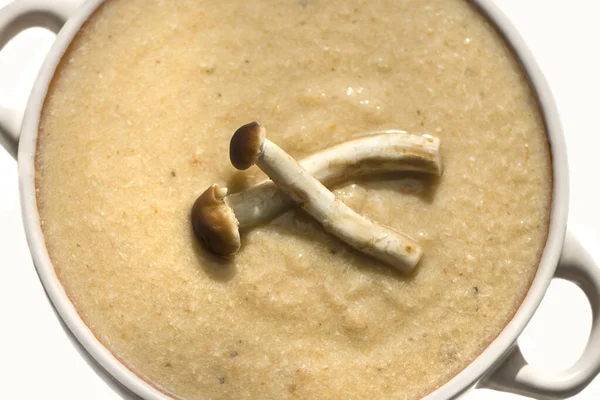 Mushroom soup puree with vegetables on chicken broth — Stock Image Mushroom Soup Puree Vegetables Chicken Broth Stock Picture