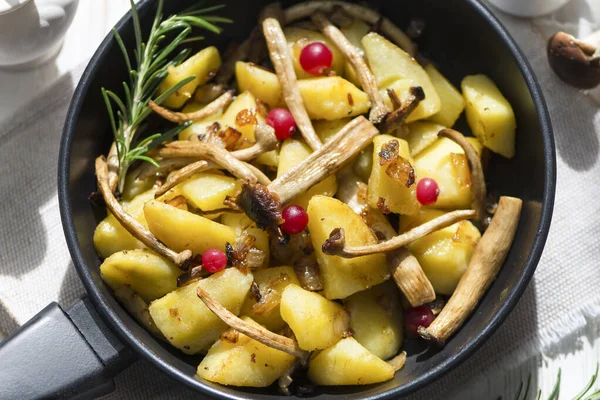 Läcker Stekt Potatis Med Svamp Lök Och Tranbär — Stockfoto