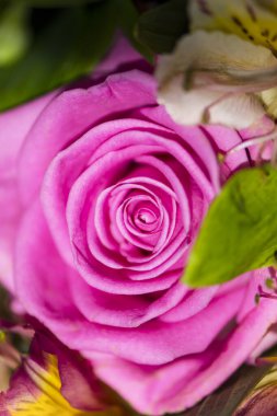 Güzel pembe güllerin arka planında bir buket çiçeğin içinde