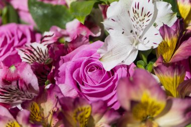 Güzel pembe güllerin arka planında bir buket çiçeğin içinde