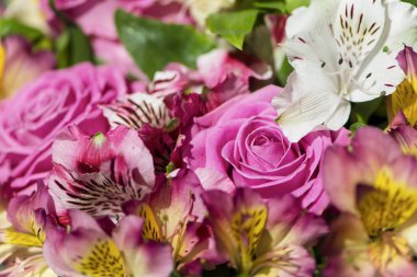 Güzel pembe güllerin arka planında bir buket çiçeğin içinde