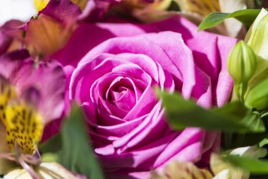 Güzel pembe güllerin arka planında bir buket çiçeğin içinde