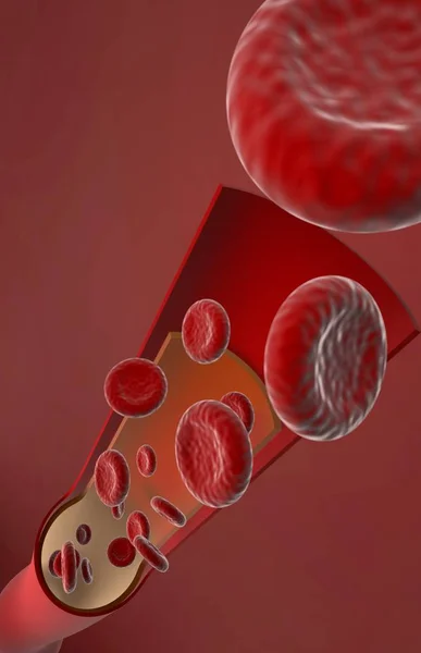 Darah merah di arteri, pembuluh darah diiris dengan eritrosit, 3d re — Stok Foto