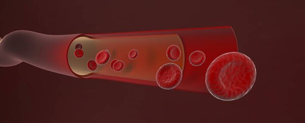 red blood in artery ,Blood vessel sliced with erythrocytes,3d re