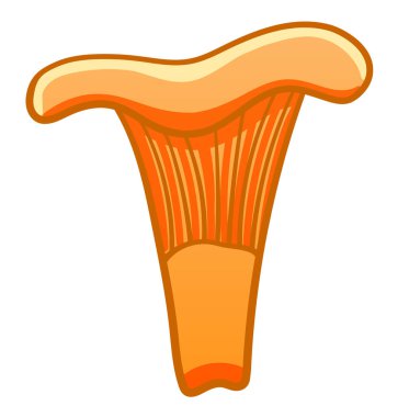 Cartoon style isolated Chanterelle Mushroom on white background