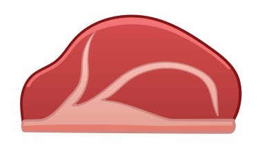 Çizgi film tarzı çiğ sığır eti çizimi. Beyaz arkaplan, vektör.