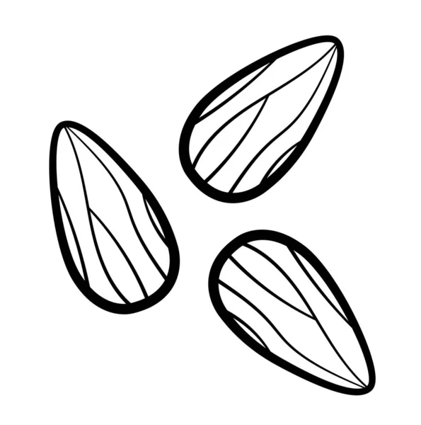 Kreslený Styl Tři Mandlové Oříšky Černých Liniích Izolované Ilustrace Bílé — Stockový vektor