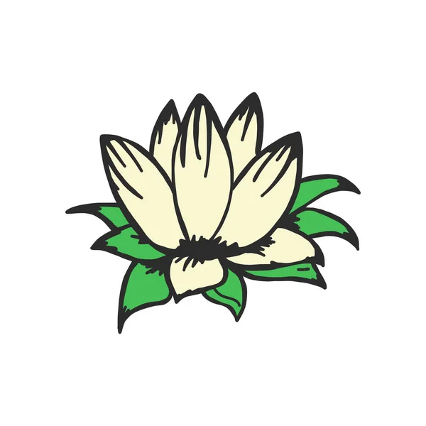 Lotusbloem. vector illustratie in schets stijl.Lichtgele bloem met groene bloemblaadjes. Geschikt voor logo, uitnodigingskaarten, t-shirt design, Cup of stof geïsoleerd op witte achtergrond. — Stockvector