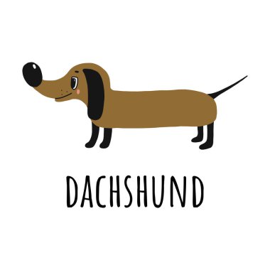 Mutlu Dachshund. elle çizilmiş illüstrasyon. Köpek ve Doodle tarzında soyadı. Beyaz bir arka planda izole edilmiş. Komik karakter tişört, web siteleri, Cup, poster, kartpostal için uygundur.