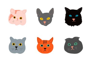 Popüler kedi cinslerinin bir dizi düz ikonu. Vektör çizimi. Buzdolabı etiketi, poster ya da kartpostal, sosyal ağlar, tişört. Elle çizilmiş stil. Düz stilde farklı kediler