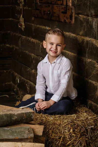 Zeer knappe jongen is zittend op hooi en glimlachen — Stockfoto