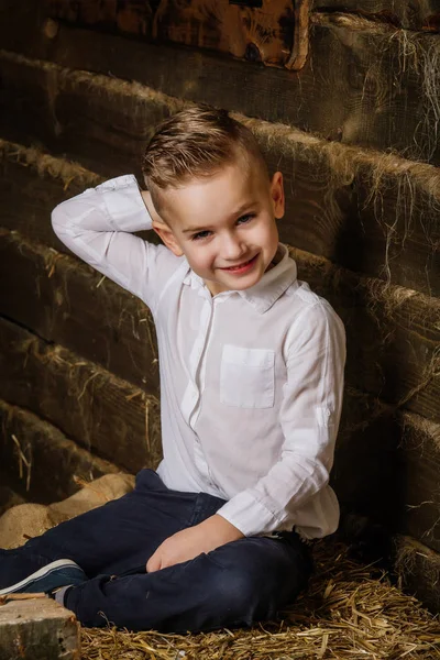 Rapaz muito bonito está sentado no feno e sorrindo — Fotografia de Stock