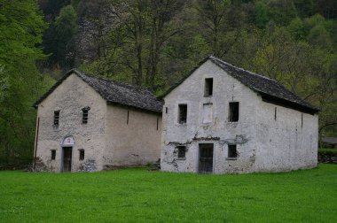 Acquarossa, Blenio Vadisi 'ndeki ağaçların arasında antik evler - İsviçre dağları (İsviçre))