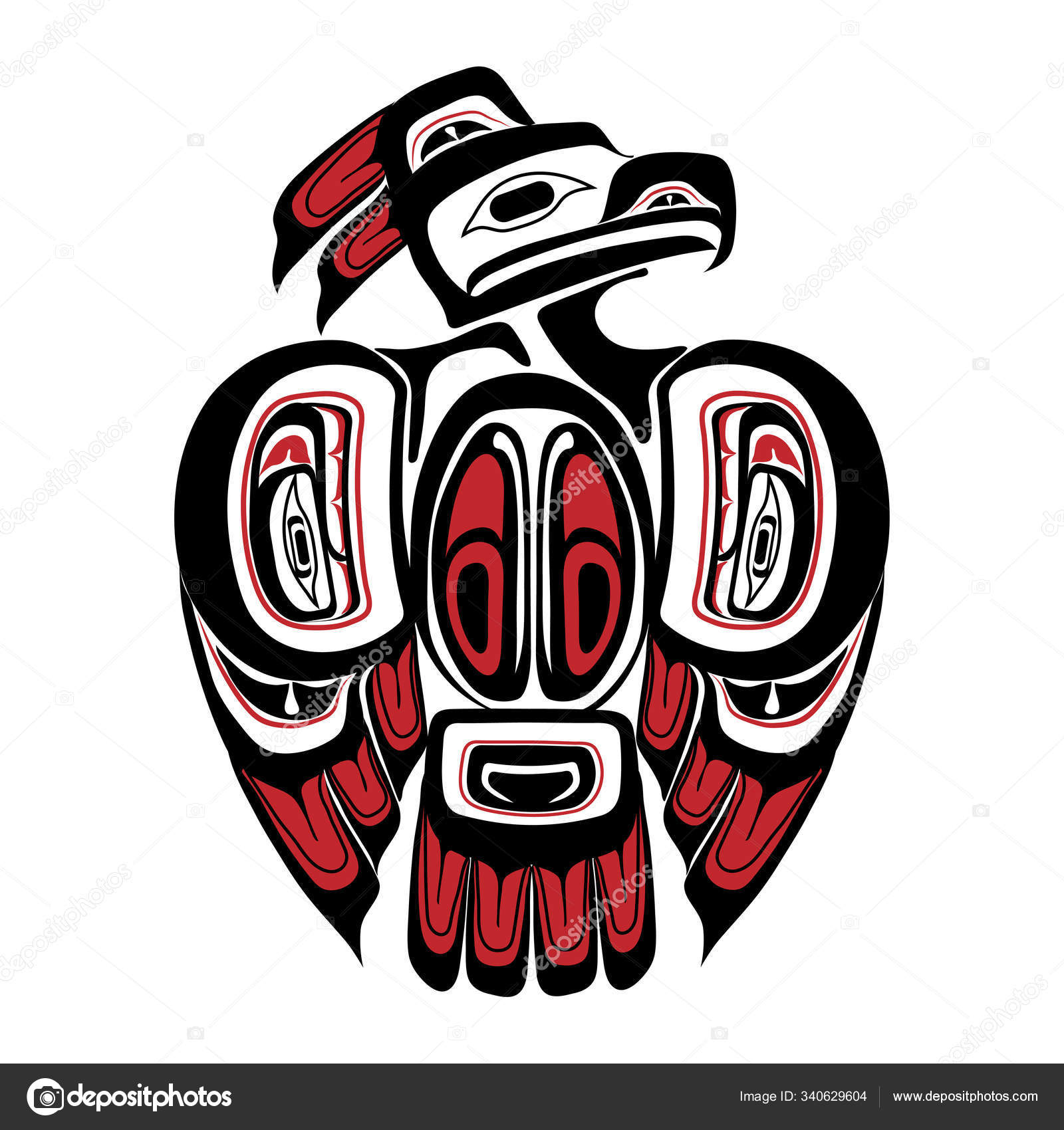 サンダーバードストックベクター ロイヤリティフリーサンダーバードイラスト Depositphotos