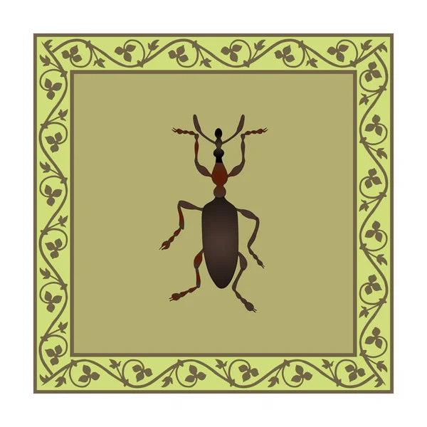 Ilustración a color Weevil en marco floral medieval . — Vector de stock
