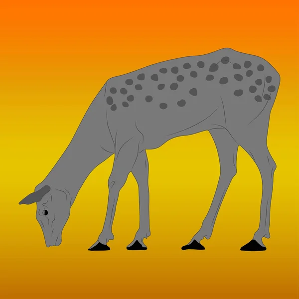 Mignon cerf avec des bois. Illustration vectorielle plate. Dessin animé animal design . — Image vectorielle