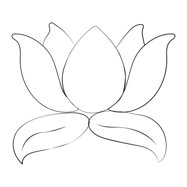 Kwiat lotosu i liście. Projektowanie kosmetyków naturalnych, ochrona zdrowia. — Wektor stockowy