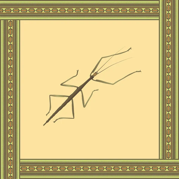 Bug stick color illustration in african ornament frame. — 图库矢量图片