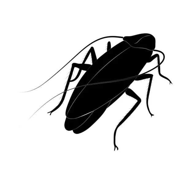 在白色背景下孤立的蟑螂轮廓 — 图库矢量图片
