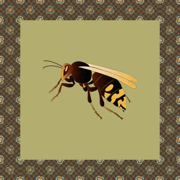 日本装饰品框架中的大黄蜂彩绘图 — 图库矢量图片