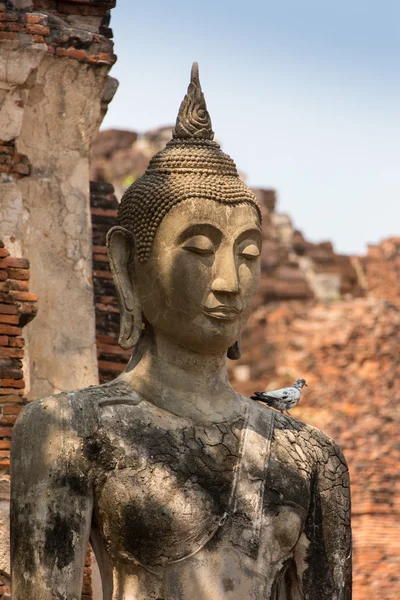 Buda Nepal oyma. — Stok fotoğraf