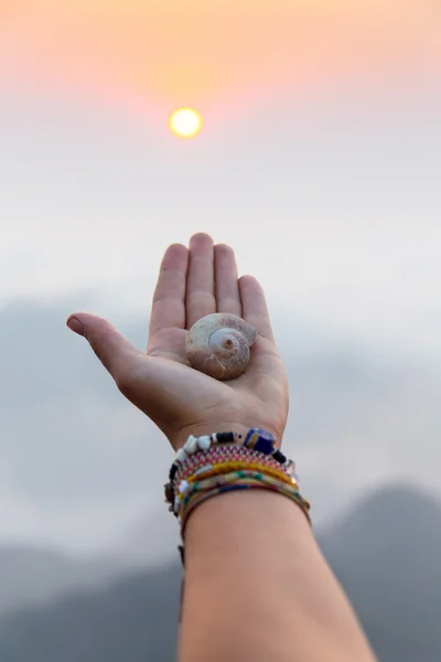 Caracol en la palma de una mujer . — Foto de Stock