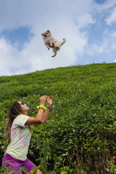 空中でボールをキャッチする犬 — ストック写真