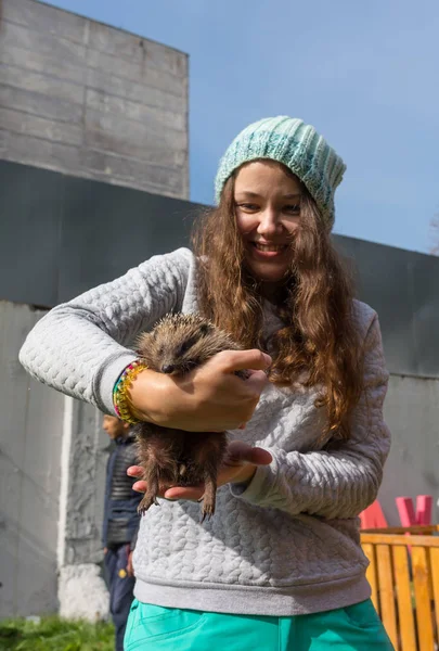 美しいブルネットの少女は、本物の野生のハリネズミを保持します。. — ストック写真