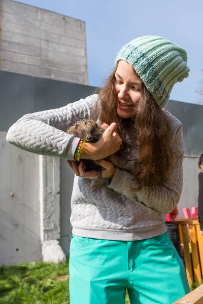 The beautiful brunette girl holds the real wild hedgehog. — Stock Photo, Image