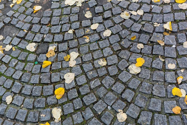 Steinpflaster Hintergrund Zaun — Stockfoto