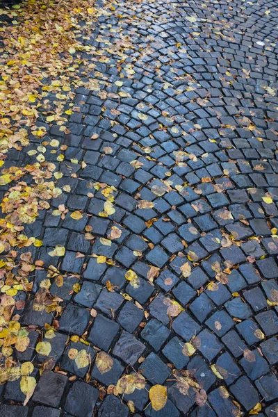 Steinpflaster Hintergrund Zaun — Stockfoto