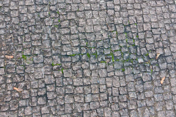 Steinpflaster Hintergrund Zaun — Stockfoto