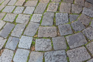 arka plan çit Parke taş