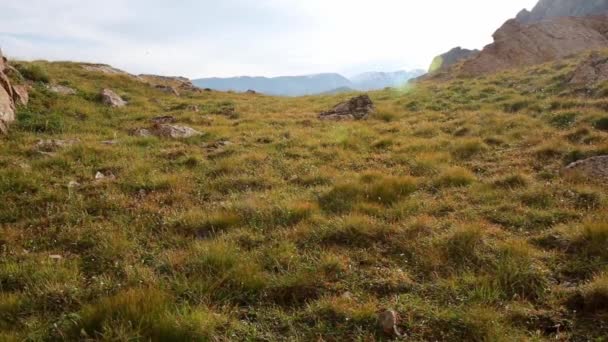 Dağlara doğru sarp bir tepe üzerinde uçan — Stok video