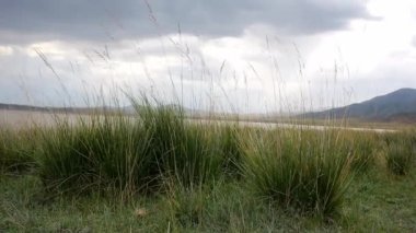 Dağlara doğru sarp bir tepe üzerinde uçan