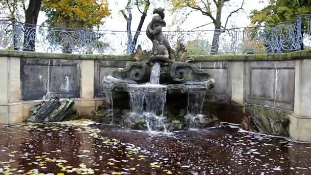 La fontana di Amenano a Catania, agosto — Video Stock