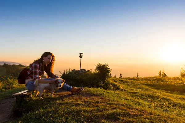 Молода жінка з собакою на сонячний день пішки у високих горах — стокове фото