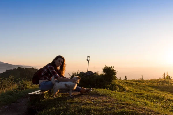 狗在晴朗的一天在高大的山脉徒步旅行的年轻女人 — 图库照片