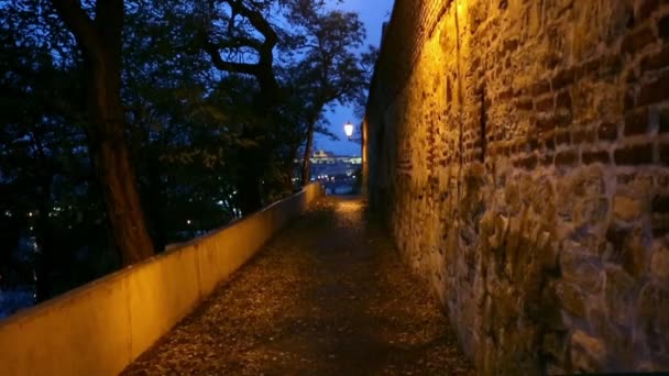 Prague, Çek Cumhuriyeti, gece köprü, şehir, Europe — Stok video