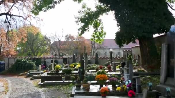 Boucle de cimetière, trottoir d'animation 3D . — Video
