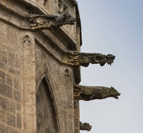 詳細の古い教会や大聖堂のファサードは、白い石灰岩と男、有機的な要素と建築のシンボルの多くの彫刻の彫刻 — ストック写真