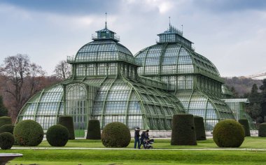 Palm ev Palmenhaus, imparatorluk Bahçe Schonbrunn Viyana, Avusturya, bir art nouveau yapı inşa.