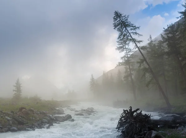 The river on a background of mountains and forests in the fog Akkem river, is at the foot of the Belukha mountain, Altai Mountains, Russia — Stock Photo, Image