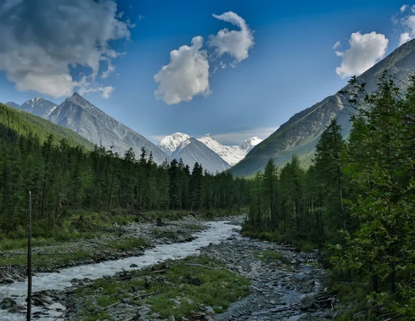 Гірська річка біля підніжжя гори, гори Алтай, Росія Білуха — стокове фото