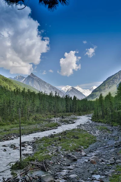 Río de montaña al pie de la montaña Belukha, montañas de Altai, Rusia — Foto de Stock