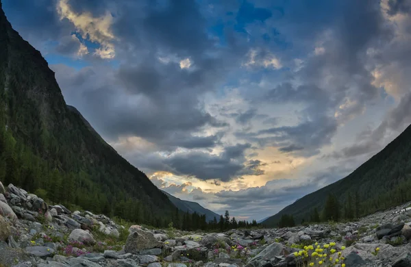 Sunrise,sunset at the foot of the Belukha mountain, Altai Mountains, Russia — Stock Photo, Image