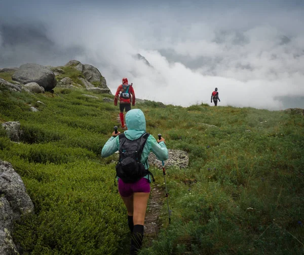 Un gruppo di atleti in un giorno di pioggia corre lungo il sentiero verso la nebbia. Altay, Russia — Foto Stock